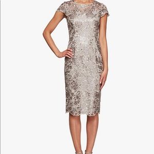 Alex Evening Midi Embroidered Dress Size 10